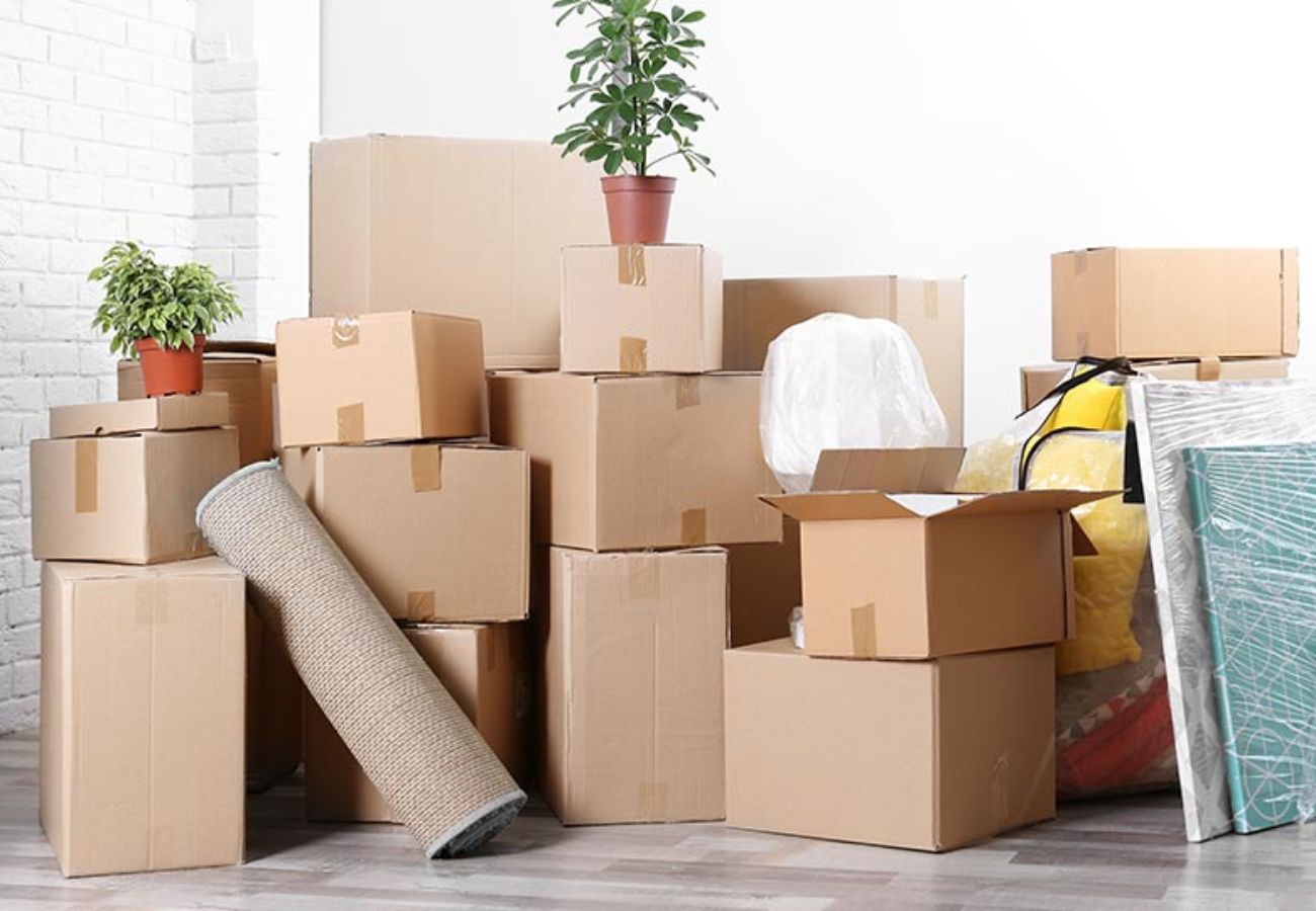 Top 6 Best Packers and Movers in Mumbai | Zolostays
